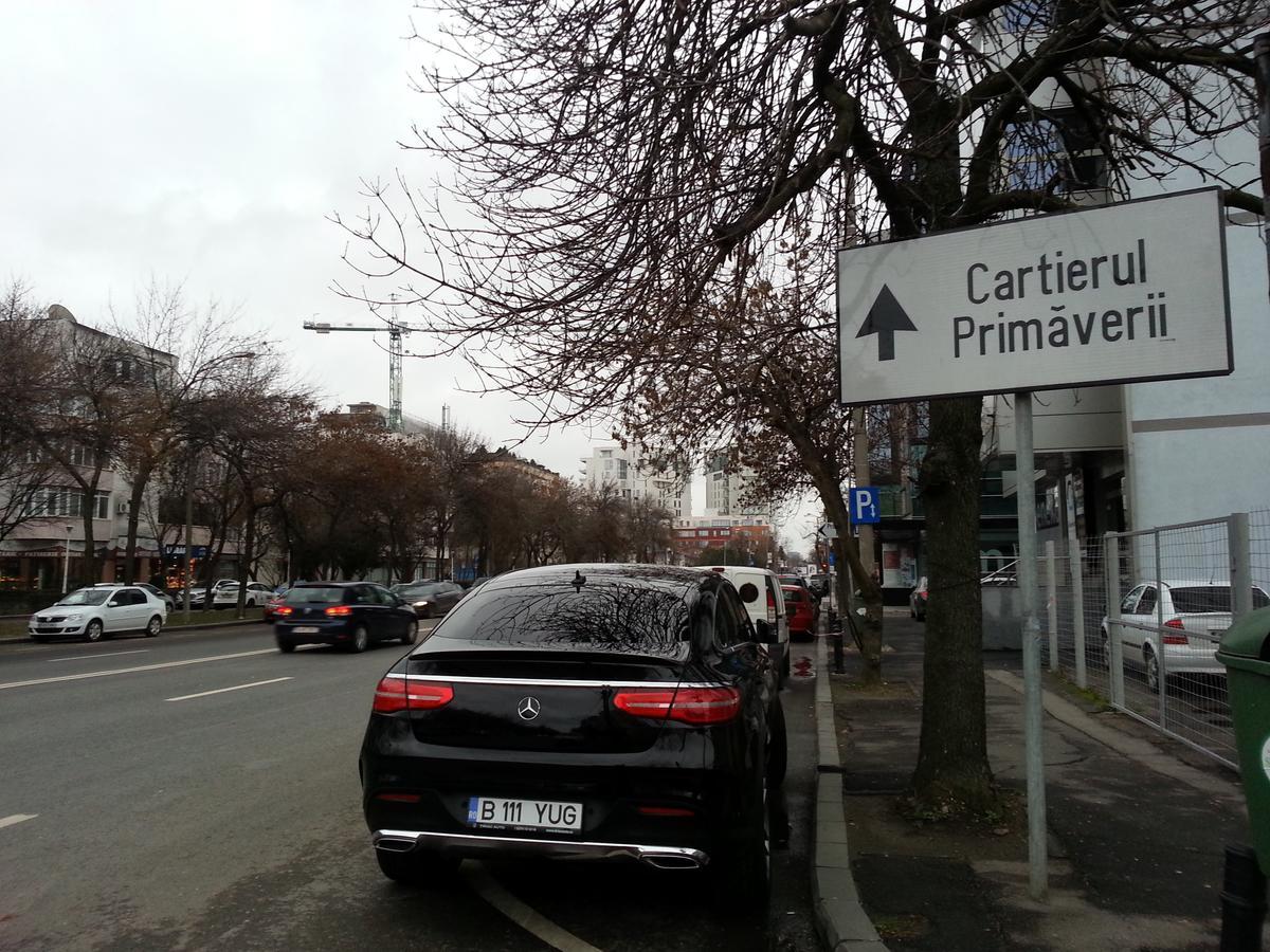 Emily Villa Herastrau Park Bükreş Dış mekan fotoğraf